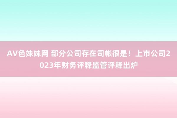 AV色妹妹网 部分公司存在司帐很是！上市公司2023年财务评释监管评释出炉