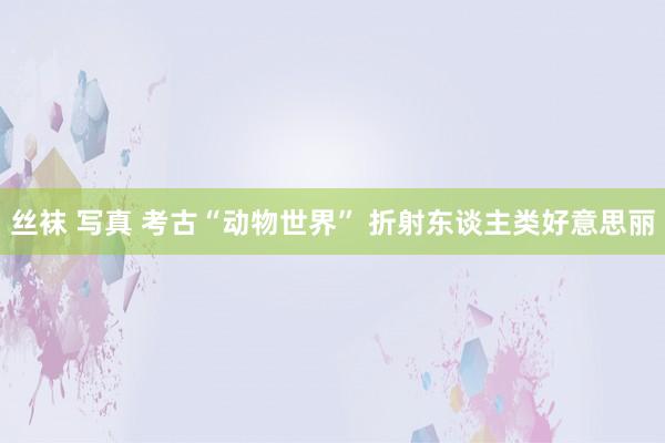 丝袜 写真 考古“动物世界” 折射东谈主类好意思丽