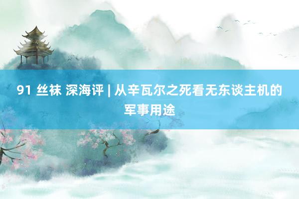 91 丝袜 深海评 | 从辛瓦尔之死看无东谈主机的军事用途