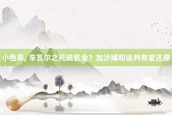 小色哥， 辛瓦尔之死成机会？加沙媾和谈判有望还原