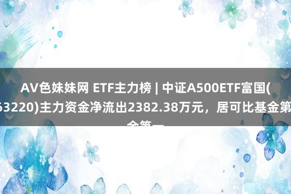 AV色妹妹网 ETF主力榜 | 中证A500ETF富国(563220)主力资金净流出2382.38万元，居可比基金第一