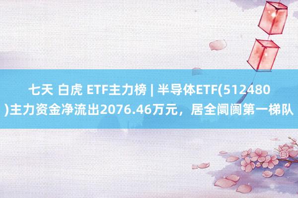 七天 白虎 ETF主力榜 | 半导体ETF(512480)主力资金净流出2076.46万元，居全阛阓第一梯队