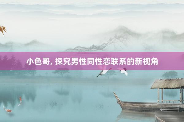 小色哥， 探究男性同性恋联系的新视角