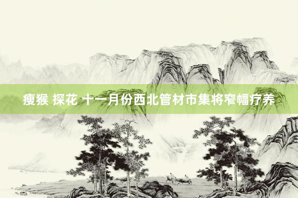 瘦猴 探花 十一月份西北管材市集将窄幅疗养