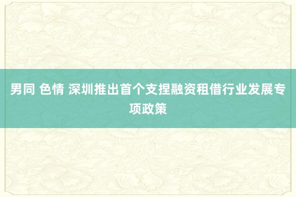 男同 色情 深圳推出首个支捏融资租借行业发展专项政策