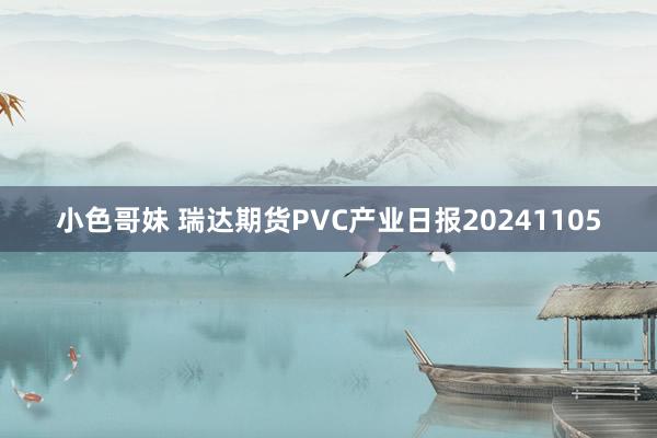 小色哥妹 瑞达期货PVC产业日报20241105