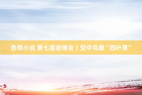 色情小说 第七届进博会丨空中鸟瞰“四叶草”