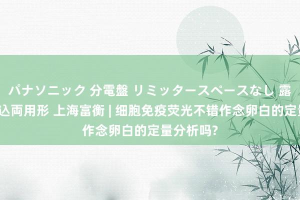 パナソニック 分電盤 リミッタースペースなし 露出・半埋込両用形 上海富衡 | 细胞免疫荧光不错作念卵白的定量分析吗?