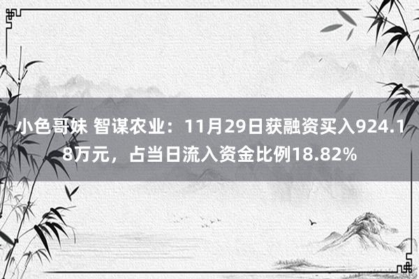小色哥妹 智谋农业：11月29日获融资买入924.18万元，占当日流入资金比例18.82%
