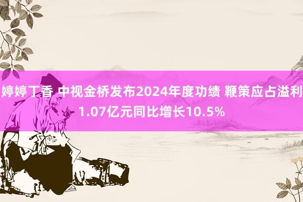 婷婷丁香 中视金桥发布2024年度功绩 鞭策应占溢利1.07亿元同比增长10.5%