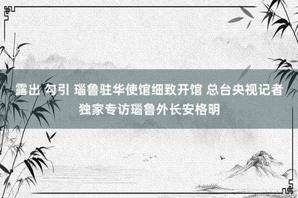 露出 勾引 瑙鲁驻华使馆细致开馆 总台央视记者独家专访瑙鲁外长安格明