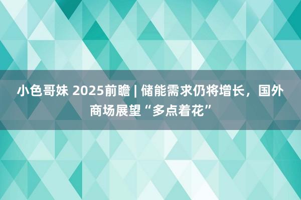 小色哥妹 2025前瞻 | 储能需求仍将增长，国外商场展望“多点着花”