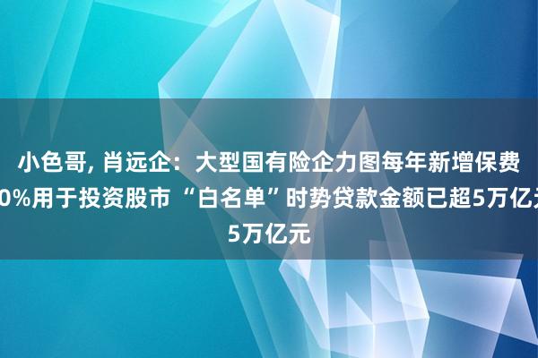 小色哥， 肖远企：大型国有险企力图每年新增保费30%用于投资股市 “白名单”时势贷款金额已超5万亿元