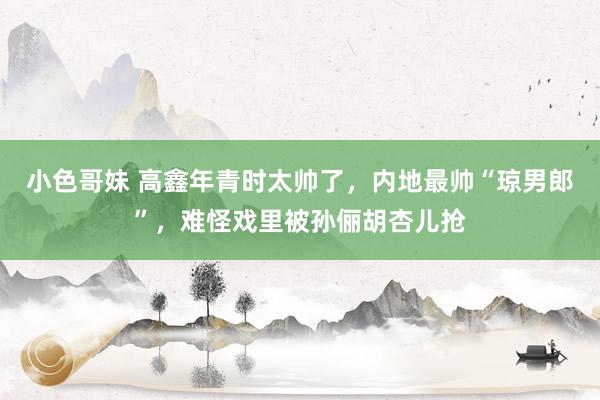 小色哥妹 高鑫年青时太帅了，内地最帅“琼男郎”，难怪戏里被孙俪胡杏儿抢