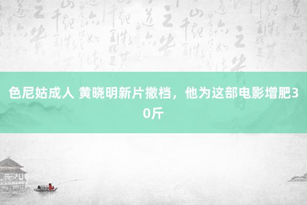 色尼姑成人 黄晓明新片撤档，他为这部电影增肥30斤