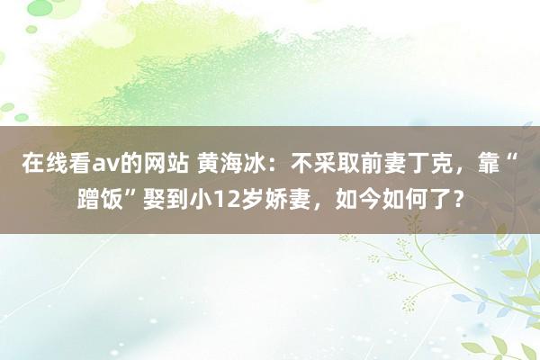 在线看av的网站 黄海冰：不采取前妻丁克，靠“蹭饭”娶到小12岁娇妻，如今如何了？