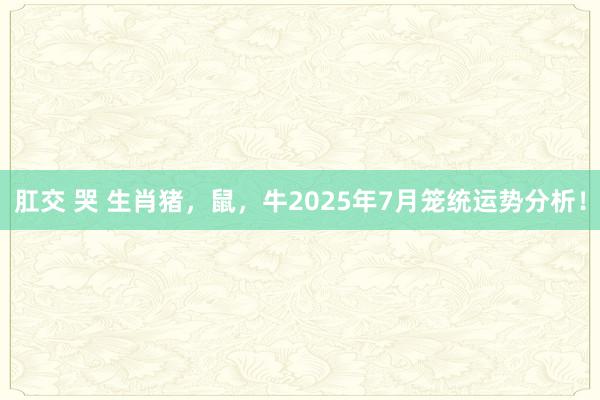 肛交 哭 生肖猪，鼠，牛2025年7月笼统运势分析！